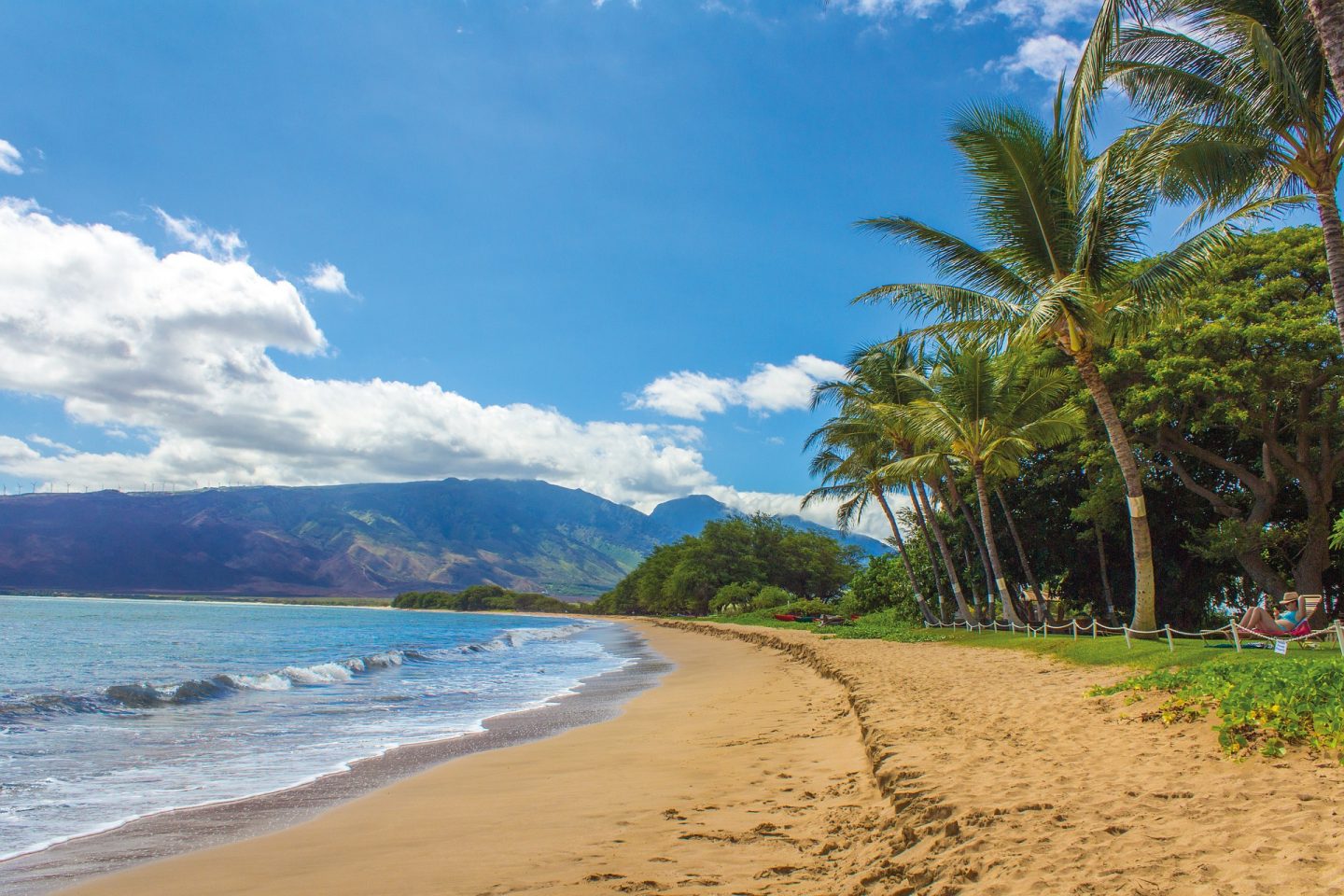 Taking A Dream Holiday In Hawaii | Beach https://oddhogg.com