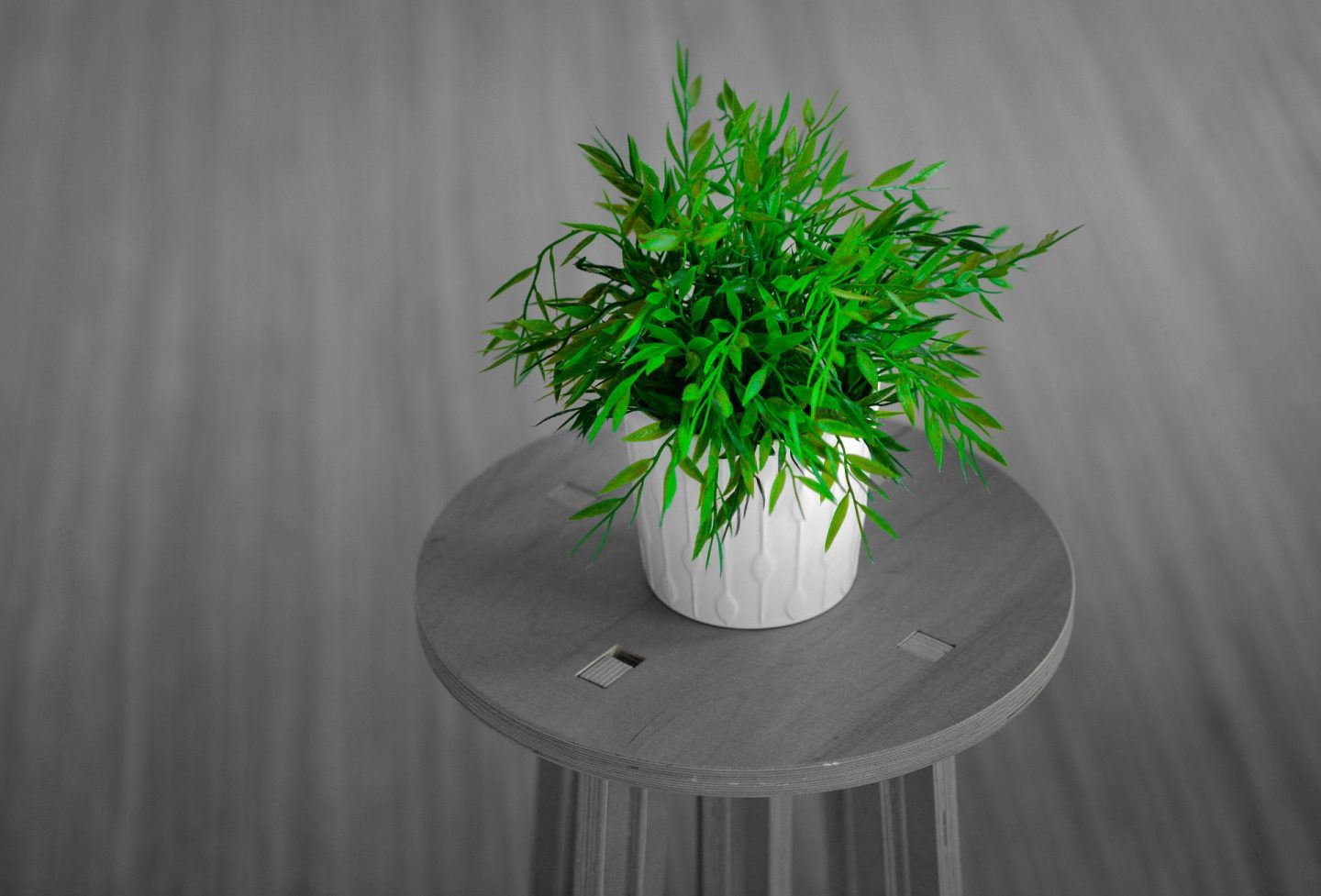 Fun Bathroom Ideas That Will Make You Smile | Plant https://oddhogg.com