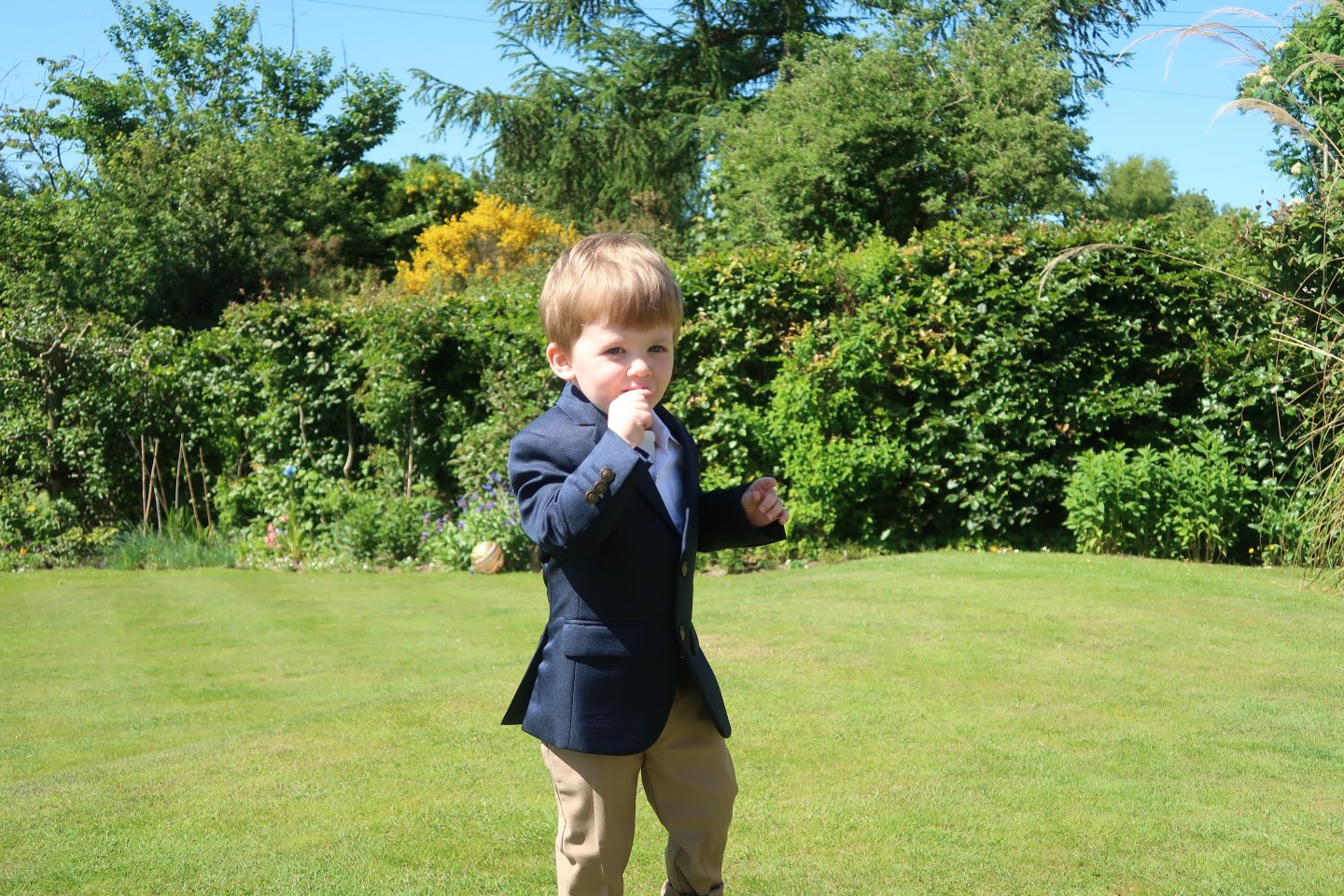 Roco Clothing Review | Piglet in chinos and suit jacket https://oddhogg.com