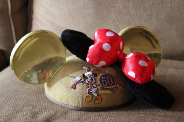 Disney Ears www.oddhogg.com