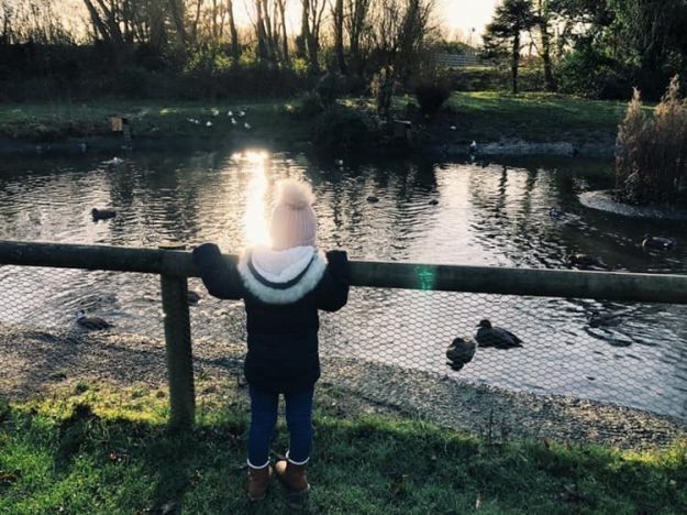 A little girl in a bobble hat is leaning on a fence to watch the ducks in a pond