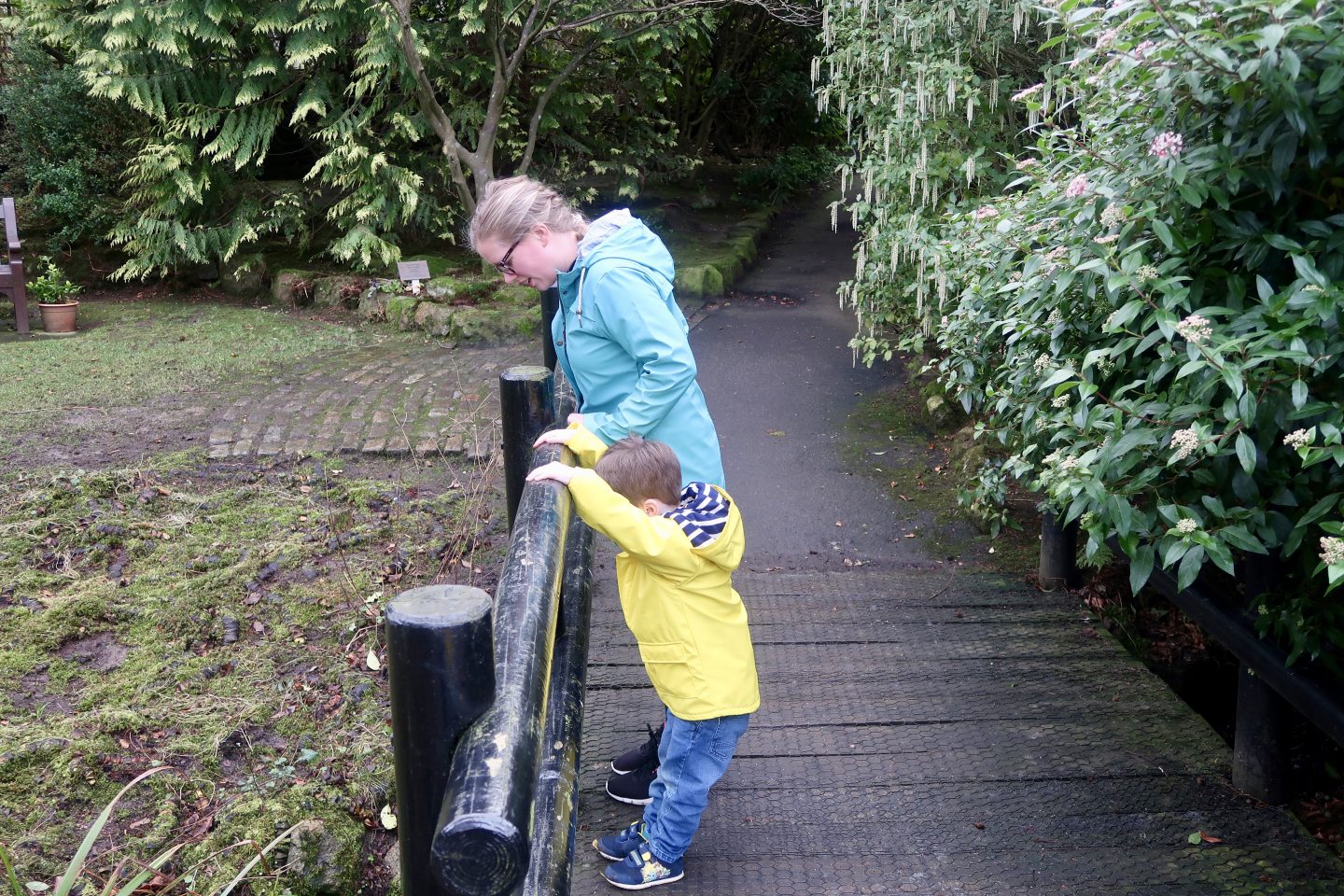 A mother and son are looking over a wooden fence in to a stream in the park