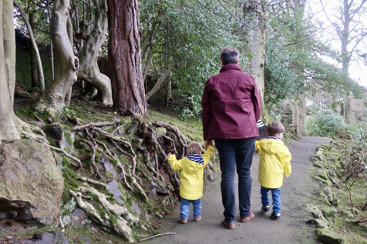 A man is walking along holding a childs hand on either side. He is wearing a red jacket and each of the children are wearing bright yellow rain coats