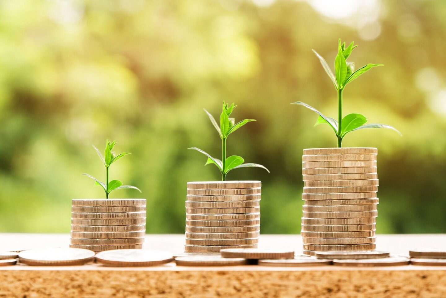 3 stacks of coins, each getting progressively larger, with a small plant growing out of the top of each.