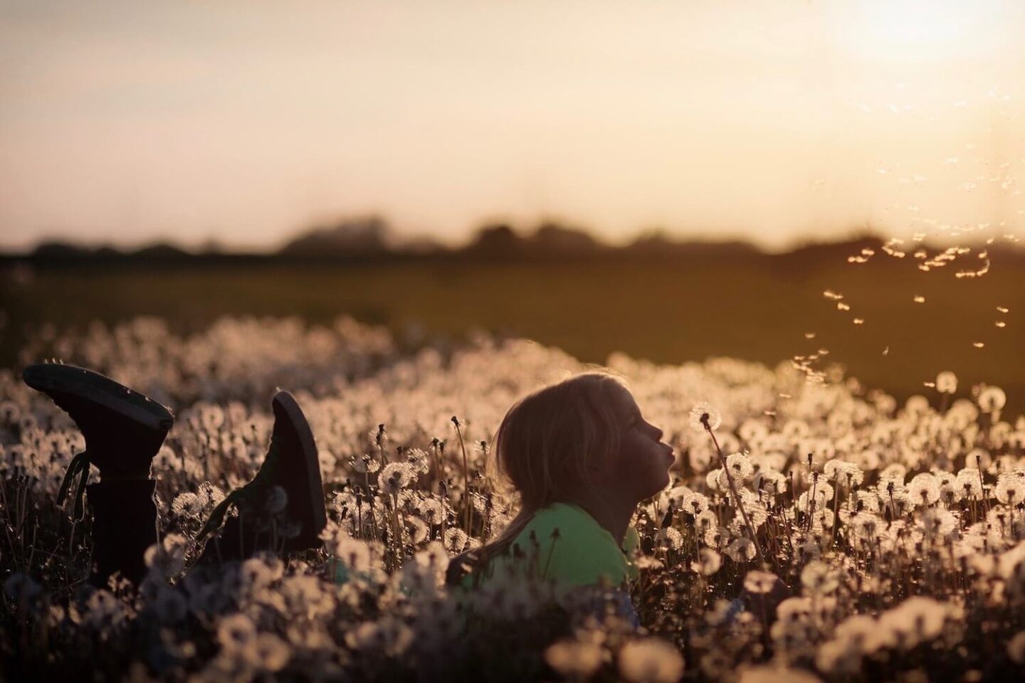 Girl lying in flowers