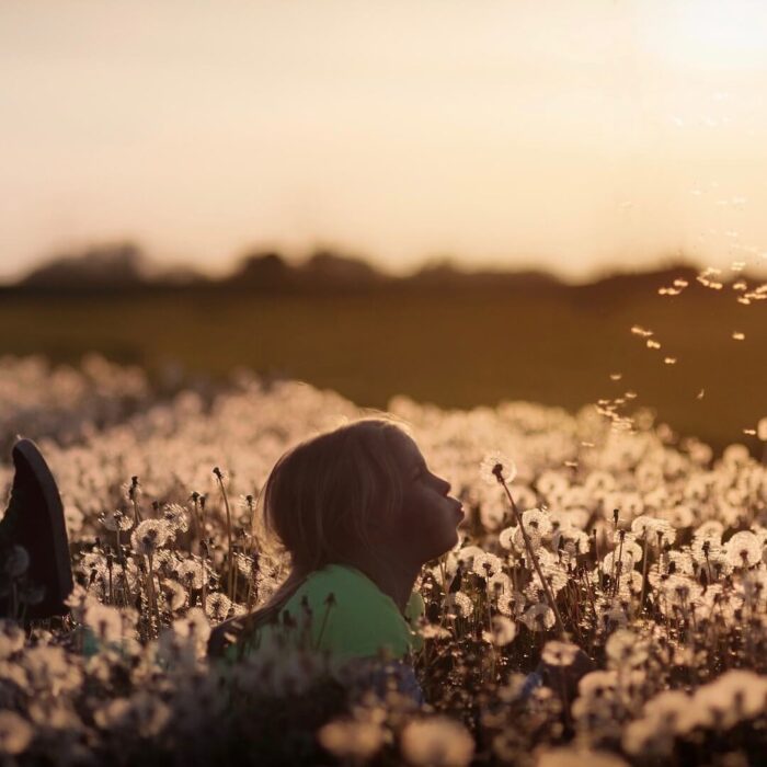 Girl lying in flowers