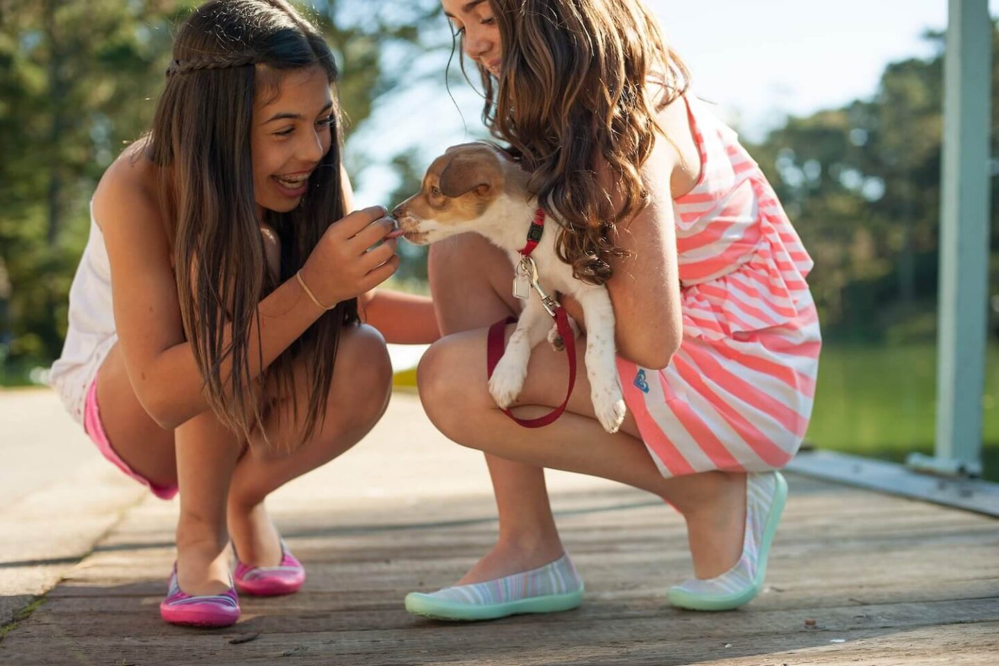 Two girls crouched down and playing with a puppy