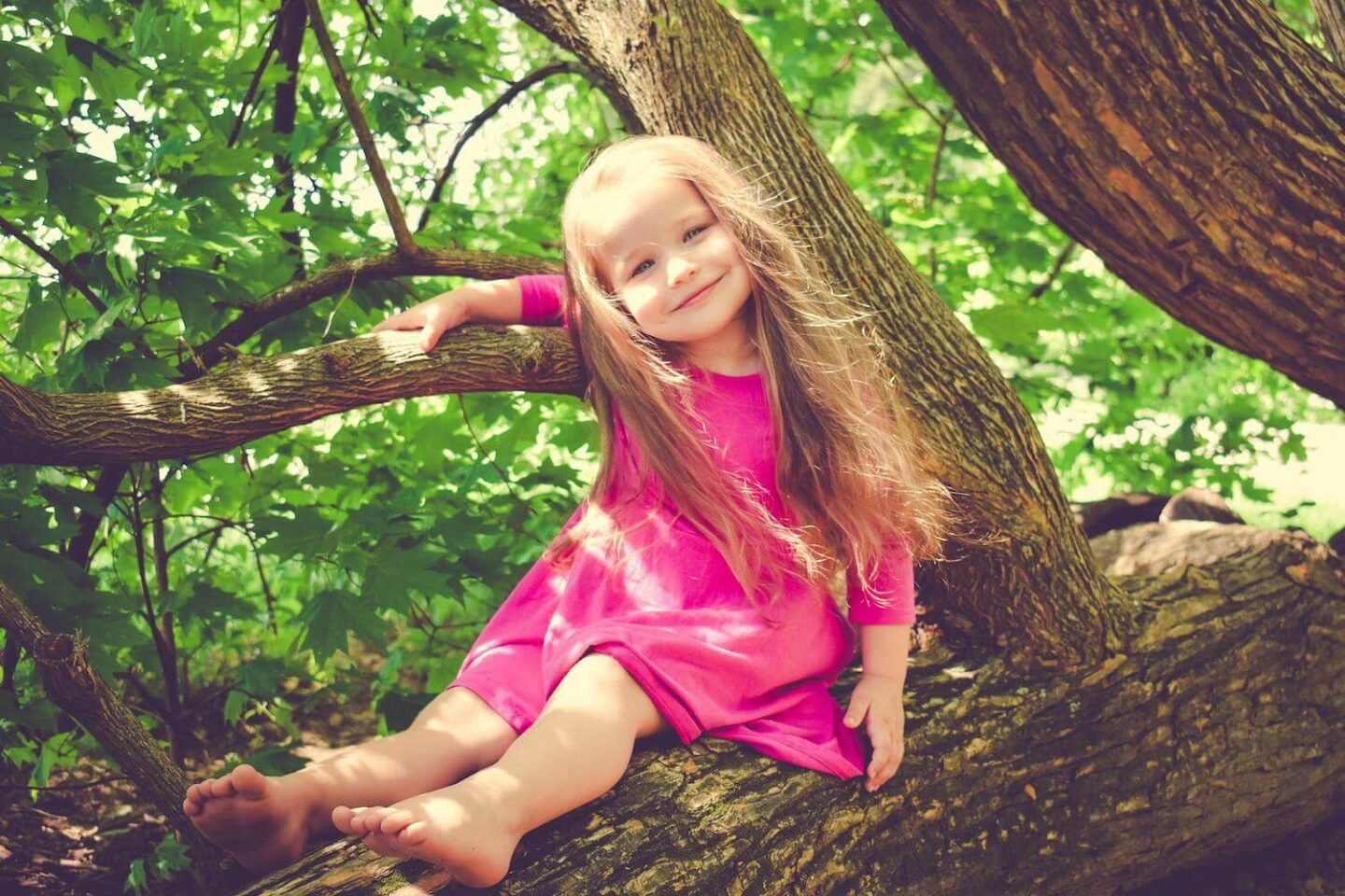 A little girls sits on the branch of a tree in a pink dress