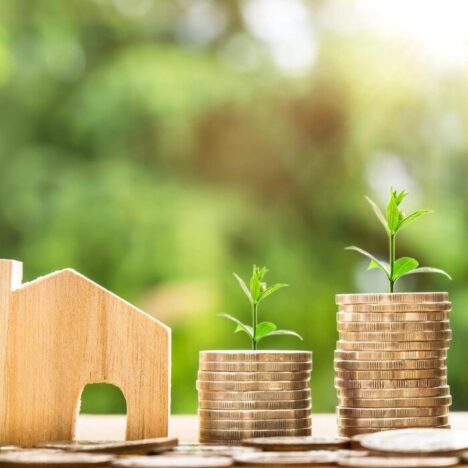 A small wooden house silhouette next to 2 stacks of coins with plants coming out of the top
