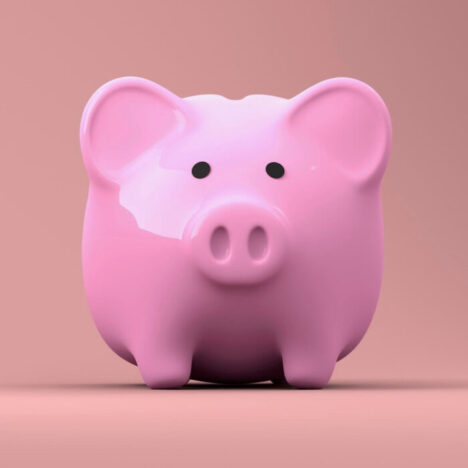 A pink pig piggy bank