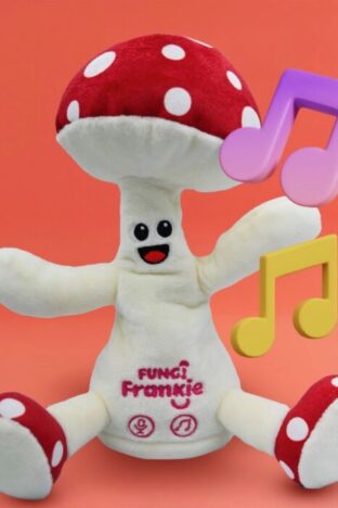 A stuffed toadstool dancing toy