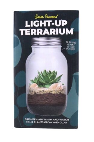 A box showing a light up terrarium