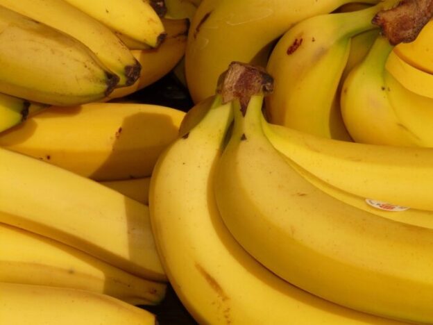 multiple bunches of yellow bananas